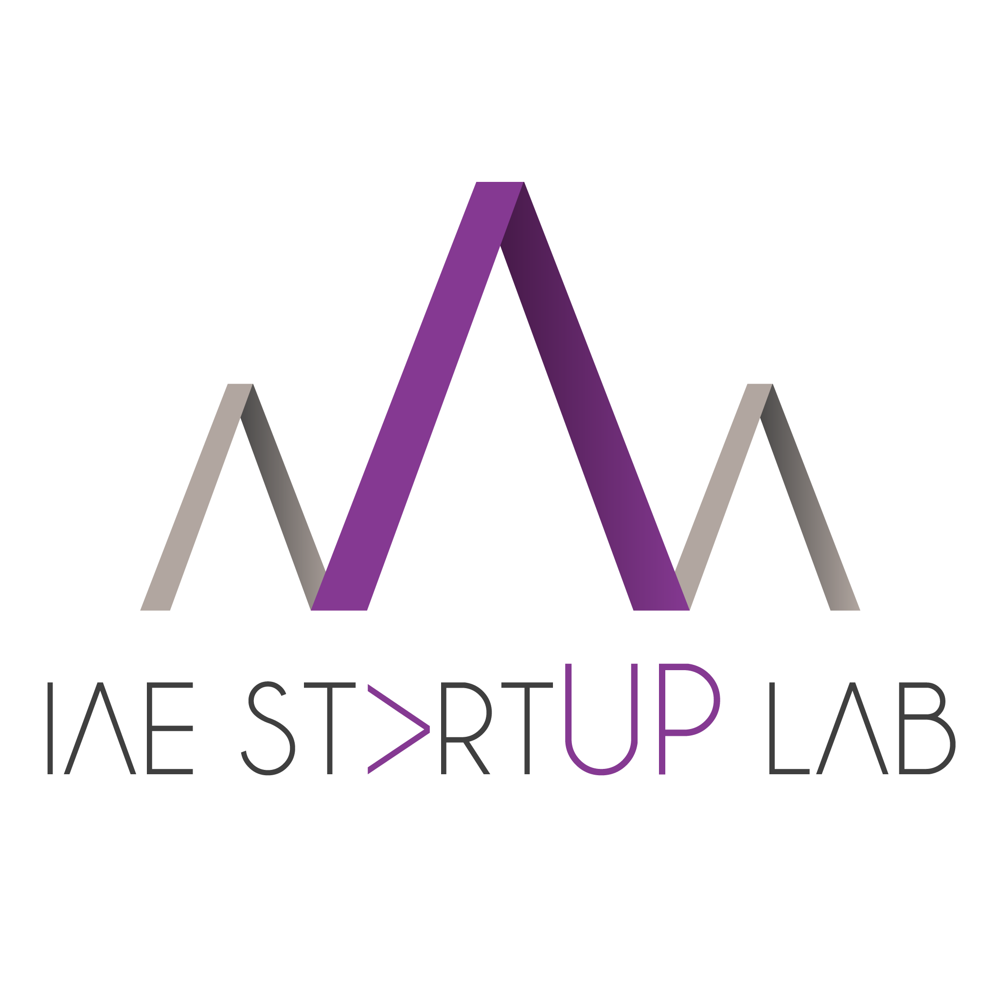 IAE Startup Lab